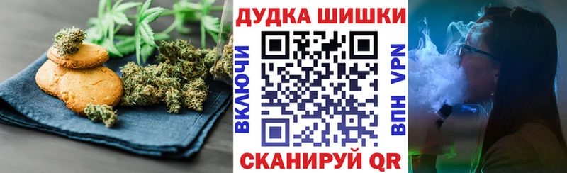 сколько стоит  Шилка  Canna-Cookies марихуана 