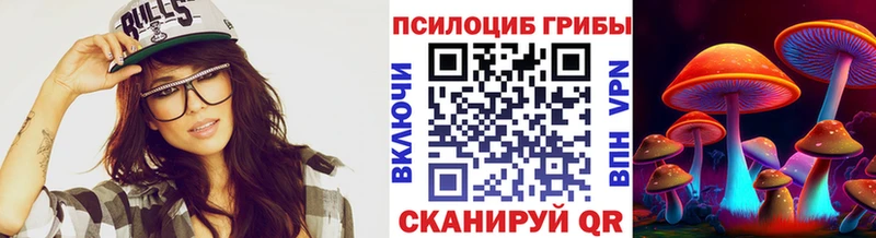 Псилоцибиновые грибы Psilocybine cubensis  Шилка 